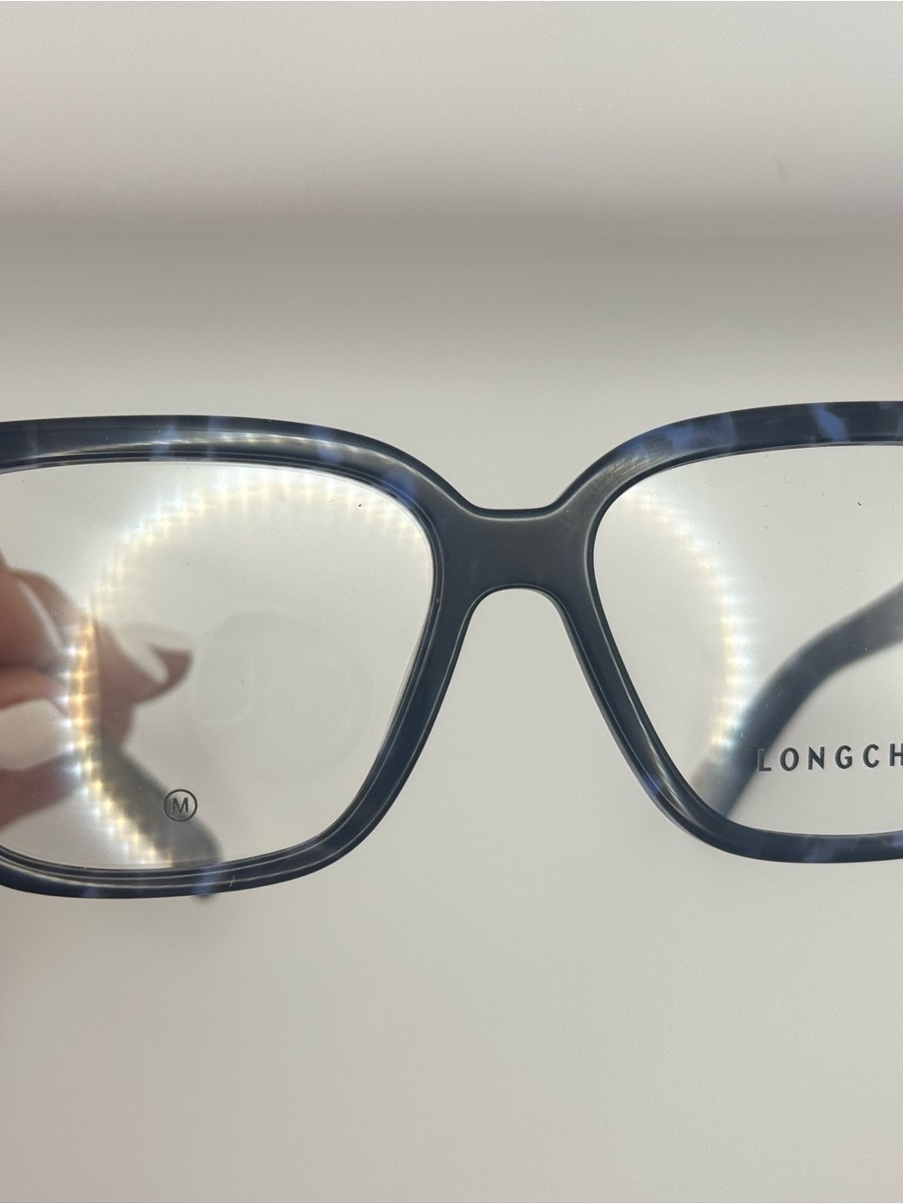 Longchamp Frame on Neutral Background